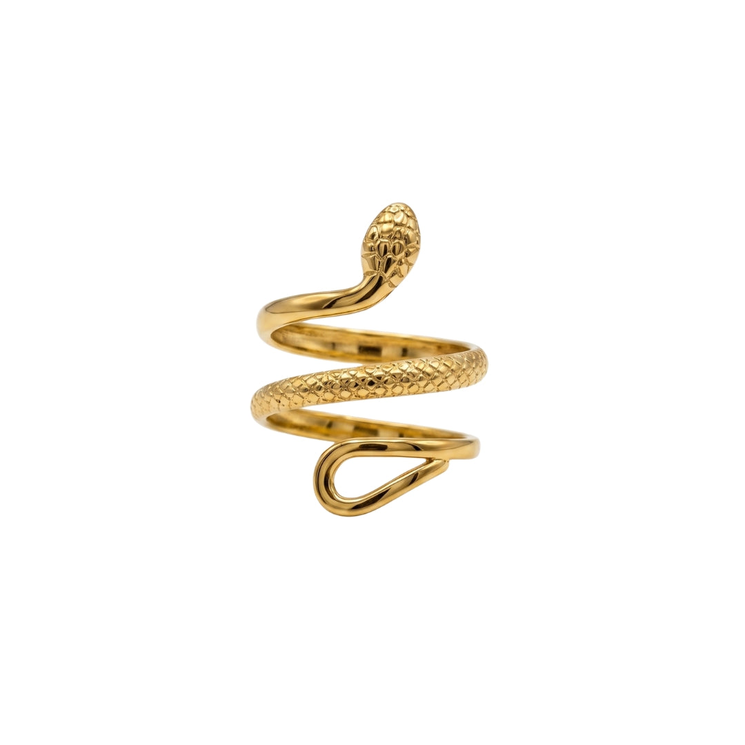 ANILLO AUKI