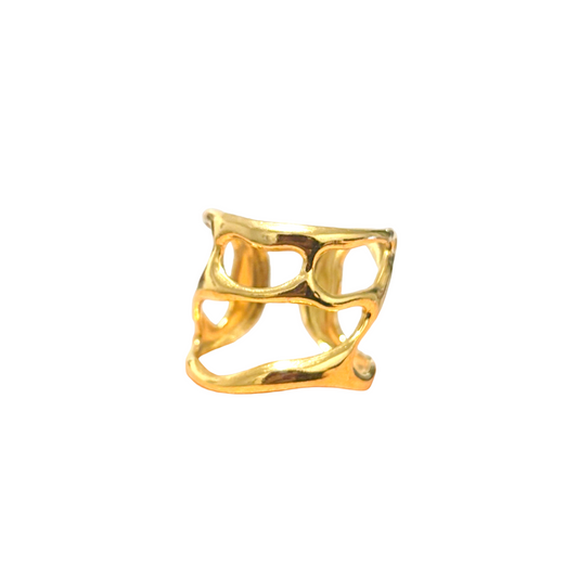 ANILLO ECOS DEL FUTURO